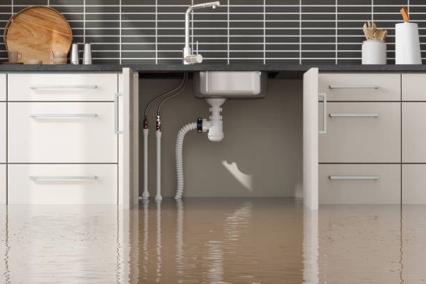 Best Carpet water damage restoration  in Loudonville, OH