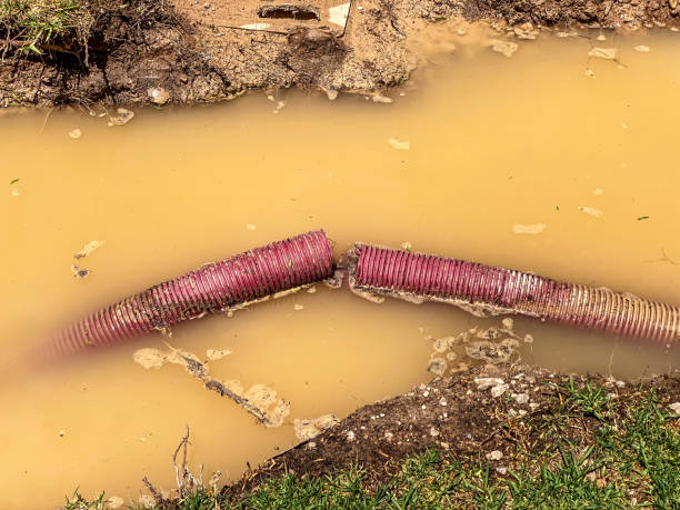 Best Flood restoration services  in Loudonville, OH
